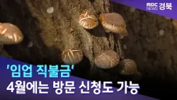 '임업 직불금', 4월에는 방문 신청도 가능 / 안동MBC