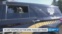 В Северной Дакоте на День дураков кинологическую службу заменили козами | The Daily Brew