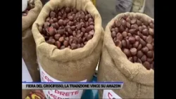 TRADIZIONE CONTRO AMAZON E ALGORITMO: AL PARCO DEL MERCATELLO... - SERVIZIO TG DEL 06/03/2026