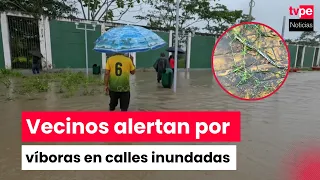 San Martín: residents report snakes appearing after flood-inducing rains