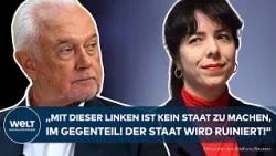 KUBICKI: "Now we know that was a lie!" SPD and Greens should drop The Left