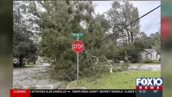 Trees, power lines down on McVay Drive in Mobile