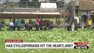 Has cyclosporiasis hit the Heartland?