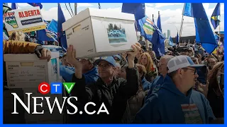 Separation petition deemed successful by Elections Alberta, referendum moves forward