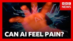 Can 'Pain' Influence AI Behaviour? | BBC News