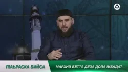 П1аьраска бийса. Мархий бетта 1ибадат