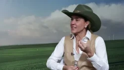 Horse industry generates R$35 billion per year and gains prominence in agribusiness | GAFFFF 2026