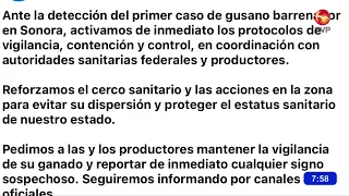 Sonora cattle industry reinforces actions against screwworm