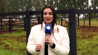 Digital platform - Embrapa