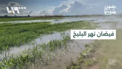 فيضان نهر البليخ بريف الرقة يغرق مساحات واسعة ويهدد القرى المجاورة فيضان نهر البليخ بريف الرقة يغرق مساحات واسعة ويهدد القرى المجاورة