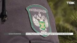 Пожароопасный сезон начался в Красноярском крае