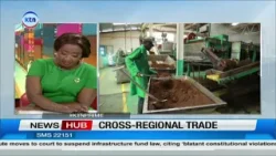 Межрегиональная торговля: Китай открывает рынок для африканского экспорта, вводя нулевые пошлины.