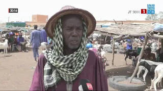 Matam: Lull in rainfall disrupts agricultural activities