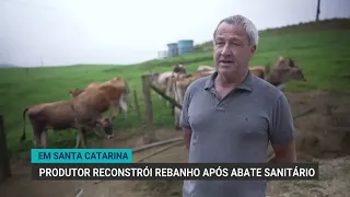 Após perder quase todo o rebanho para tuberculose, produtor se reconstrói do zero