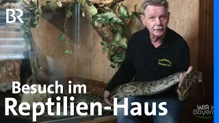Ein Leben für Schlangen, Schildkröten & Co.: Zu Besuch im Reptilienhaus | Wir in Bayern | BR