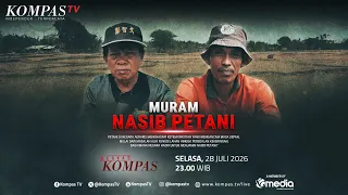The Bleak Fate of Farmers | BERKAS KOMPAS