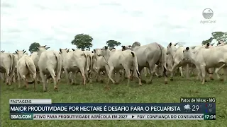 Proper pasture management ensures animal production