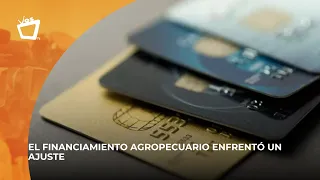 Credit cards stand out within the banking system