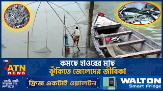 কমছে হাওরের মাছ, ঝুঁকিতে জেলেদের জীবিকা | Kishoreganj Haor Fish | ATN News