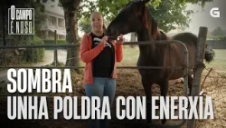 Sombra, a POLDRIÑA máis ENÉRXICA | O CAMPO É NOSO