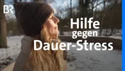 Mehr Ruhe, weniger Stress: Achtsamkeit im Alltag | Frankenschau | BR Mehr Ruhe, weniger Stress: Achtsamkeit im Alltag | Frankenschau | BR
