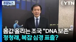 몸값 올리는 조국 "DNA 보존"...정청래, 복잡 심경 표출? / YTN 몸값 올리는 조국 "DNA 보존"...정청래, 복잡 심경 표출? / YTN