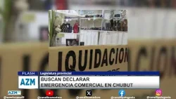 Buscan declarar emergencia comercial en Chubut