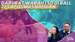 Wabah Penyakit Kulit Berbenjol Pada Sapi Merebak di Jembrana