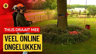 Getting Paid to Climb Trees | Thijs Joins In