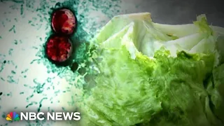 Cyclospora outbreak from tainted lettuce served at Taco Bell expands