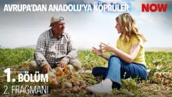 Avrupa'dan Anadolu'ya: Köprüler Pazar Günü NOW'da! @EUinTurkiye