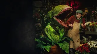 The Plant That Craves Human Blood | THE LITTLE SHOP OF HORRORS (1960) Full Movie | Roger Corman