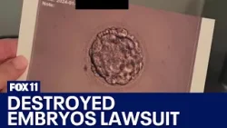 Couples sue Newport Beach lab over destroyed embryos