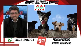 WORLD DOG DAY - Dr. Federico Urrutia - Veterinarian