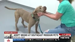 Heartland Pets feat. Bruno on 2/23