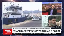 "Σκαρφαλώνει" στα 10 ευρώ το κιλό η τιμή του γαύρου
