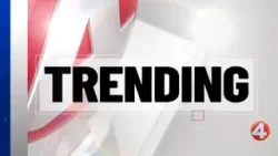 Женская команда по боулингу из Депью завоевала второй титул чемпиона штата.