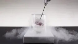 「120秒の科学」　＃47 液体窒素【「120 seconds of Science」＃47 Liquid Nitrogen】