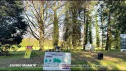 JT du vendredi 10 avril 2026 JT du vendredi 10 avril 2026