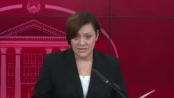 Пример за добро кризно менаџирање, експертската јавност за ребалансот на буџетот