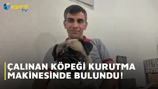 STOLEN DOG FOUND IN A DRYER!