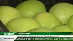 ГЛЕДНИ ТОЧКИ: Как МЕРКОСУР ще повлияе на сектор “Плодове и зеленчуци” ГЛЕДНИ ТОЧКИ: Как МЕРКОСУР ще повлияе на сектор “Плодове и зеленчуци”