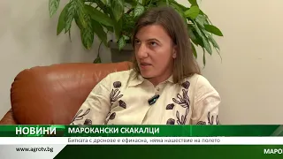 МАРОКАНСКИ СКАКАЛЦИ: Битката с дронове е ефикасна, няма нашествие на полето