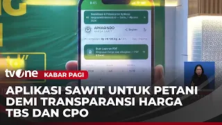 APKASINDO Launches Palm Oil Price App for Farmers | Morning News