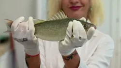 Viaţa satului: ediţia din 18 ianuarie 2026 (@TVR1)