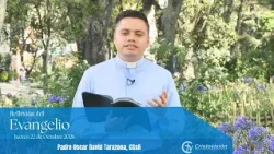 Gospel Reflection | October 22