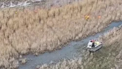 Распространение инвазивных, питающихся водой тростниковых грибов рода Phragmites часто требует тр...