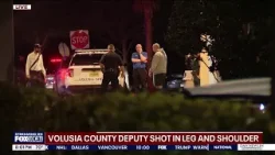 Deputy expected to recover after being shot during call, sheriff says Deputy expected to recover after being shot during call, sheriff says