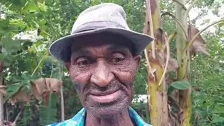 Tigwav : Plizyè bèf mouri sispèkman nan Bazil, peyizan yo lanse apèl ijans bay otorite yo