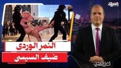 The government's anti-rumor platform publishes fabricated photos of Sisi with the "Pink Panther"....